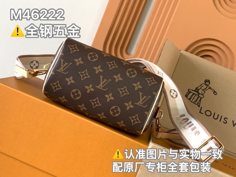 LV Speedy Bags